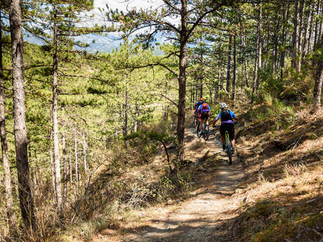 VTT n°15 - La Rando du Cairn