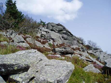 Maxi Goureng (trail route no. 14)