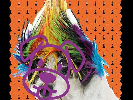 Spectacle " Thélonius et Lola"