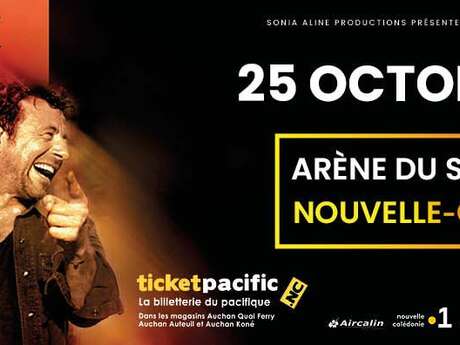 Patrick Bruel en concert !