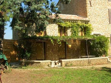 Mas de l'Espaze - La Glycine