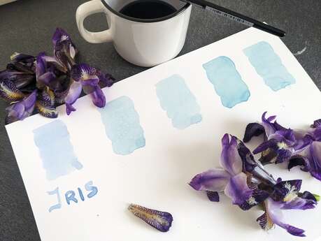 Atelier encres de plantes
