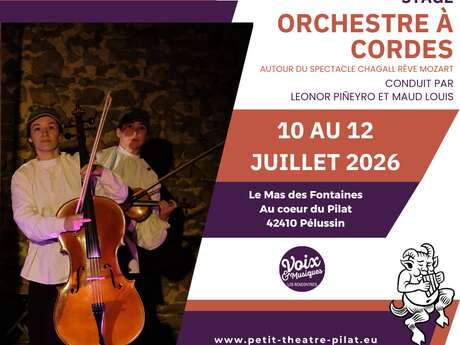 Stage Orchestre à cordes - Voix & Musiques 2026