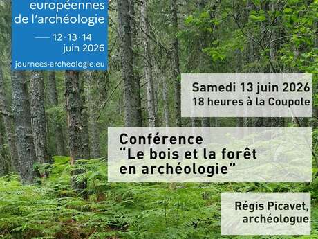 " Le bois et la forêt en archéologie" - Conférence de Régis Picavet, archéologue