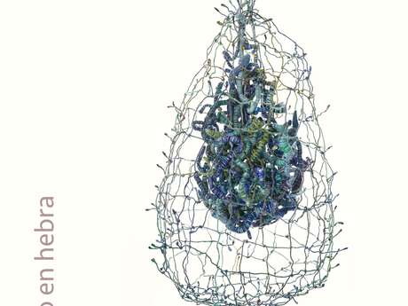 Exposition au Château : Sylvia Oiticica - Artiste plasticienne - el tempio en hebra
