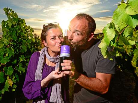 Visite de la cave - Mas Poupéras