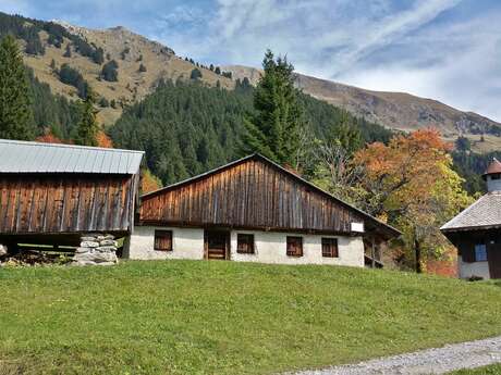 Itinéraire pédestre : Tour du Mont de Grange depuis Abondance