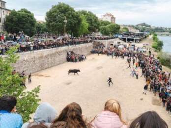 Feria - Encierro