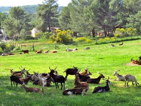 La Pastorale du Regagnas