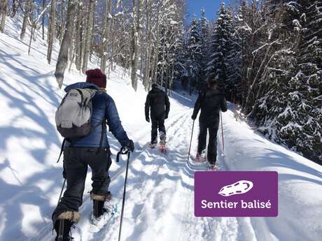Boucle de Morsullaz - Randonnée hivernale