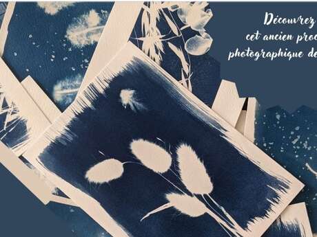 Atelier Créations cyanotype - L'été à Beauséjour