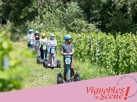 Balade en gyropodes dans les vignobles Balade en gyropodes dans les vignobles