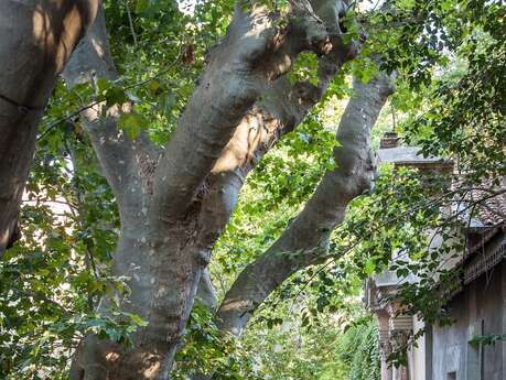 Un paseo por las calles de antaño