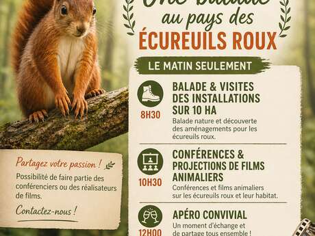 Sauvons les écureuils roux ... Découvrez les actions de SOS ECUREUIL PROVENCE