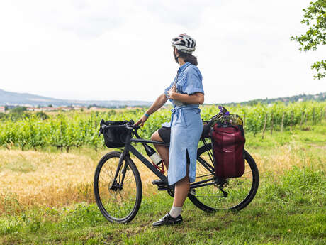 Itinéraire cyclo - Mad-Jacques Entre Véloire et route des vins