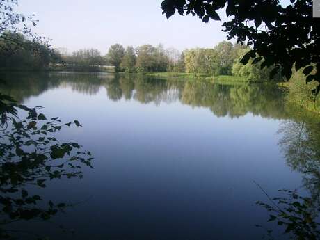 Balade - L’étang Ronton