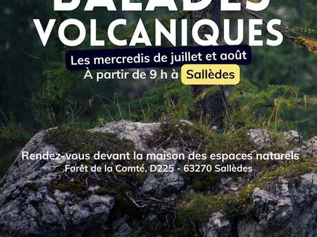 Balades volcaniques en forêt de la Comté