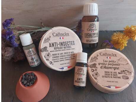 Cascade de senteurs Calinckx - Atelier boutique