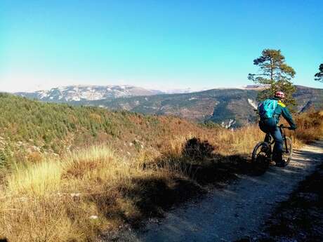 SAINT-ANDRÉ-LES-ALPES - Le Chalvet à VTT