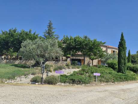 La table du Petit Chef : chambre Rose