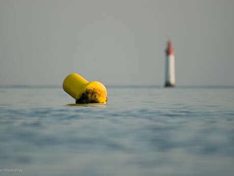 Let's shed some light on the matter - Discovering lighthouses