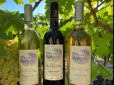 Domaine Viticole Le Clos Notre Dame