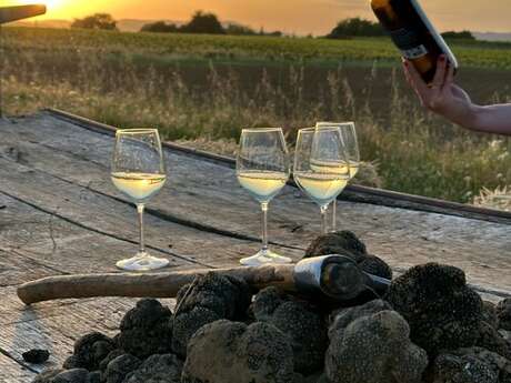 Soirée truffes & huile d’olive au cœur du Luberon au Moulin Bastide du Laval à Cadenet
