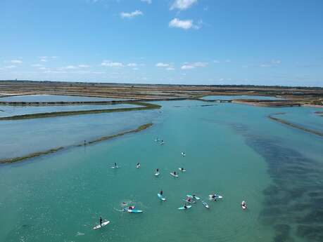 RaRemar por las reservas naturales, salida en barco desde Île de Ré Nautismendonnée paddle le long des réserves naturelles, départ en bateau par ile de ré nautisme