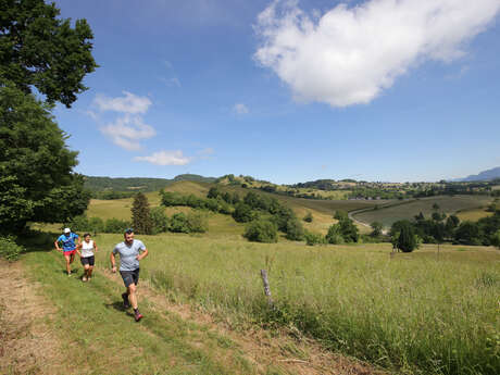 Circuit 3 - Le trail du circæte