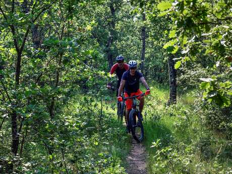 Site VTT FFC - Provence Verdon - Circuit 09 - Rouge