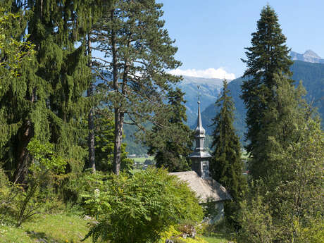 Guided tour of La Jaÿsinia Alpine Botanical Garden, in French