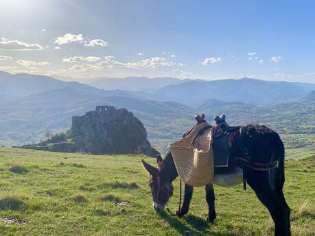 Escap'Ânes - Roquefixade
