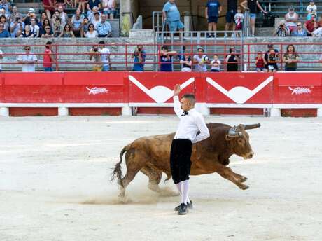 Spectacle des Recortadores