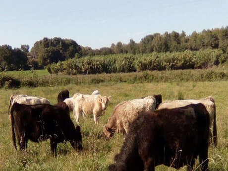 Ferme Saint Désiré