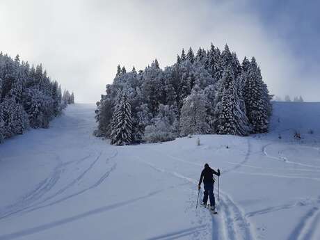 Découverte du ski de randonnée nordique !
