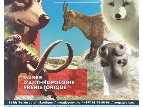 Exposition "L'effet Papillon, la Pré-histoire des animaux"