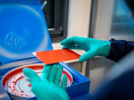 Beckers, fabrique à couleurs