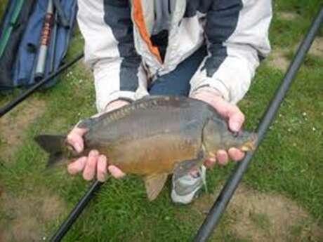 Les carpodromes en Tarn et Garonne