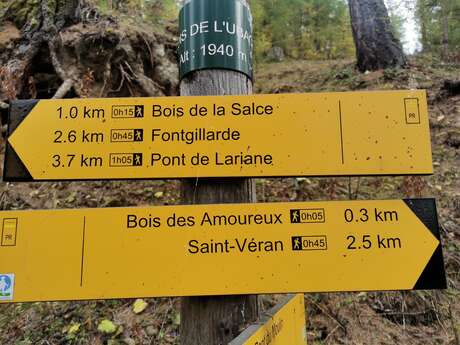 Le Bois des Amoureux