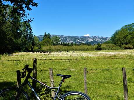 SÉNAS - Perrier Redon à vélo