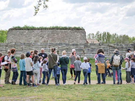 Visite accompagnée du Château à motte