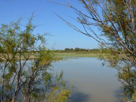 Walk in the heart of the Verdier marshes