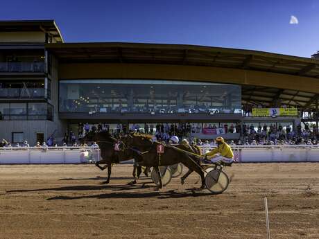 Races at the racecourse
