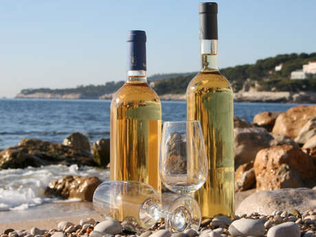 Excursion : Balade œnologique à Bandol et Cassis - WT4