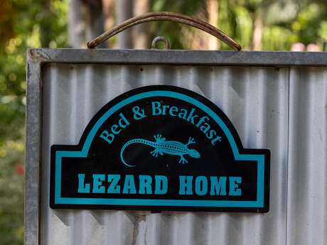 Lezard Home