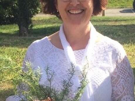 Mille et Une Plantes