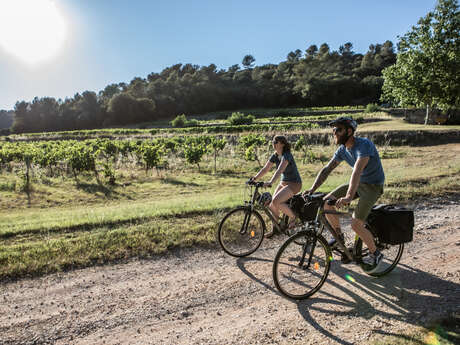 Le vignoble de Pontevès à vélo