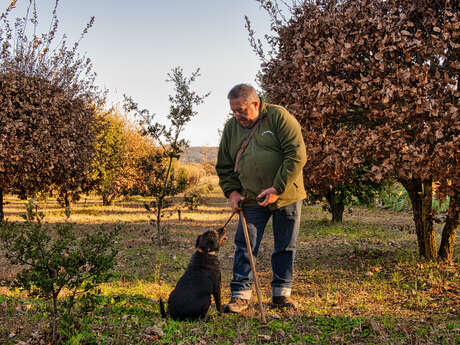 Jean-Marie Dutto - Trufficulteur