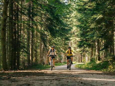 12 - La Roche Druidique de Crouzilhac