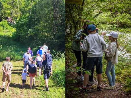Animation découverte de la forêt